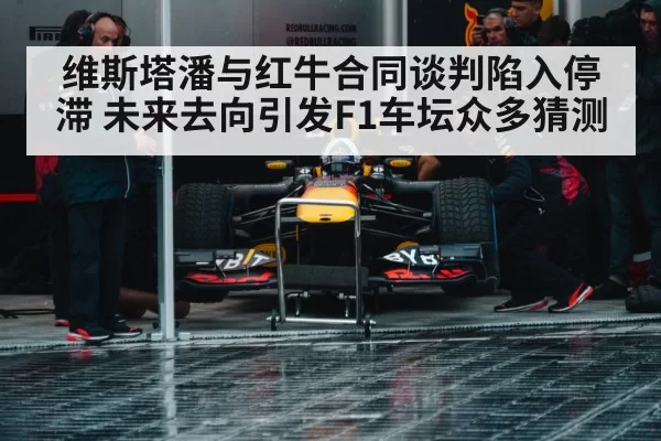 Red Bull racing team