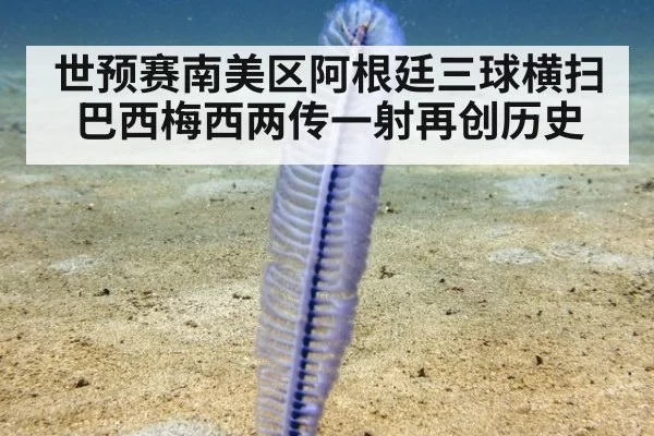 世预赛南美区阿根廷三球横扫巴西梅西两传一射再创历史